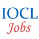 Special Jobs Drive for ST Category at IOCL Gujarat Refinery Vadodara