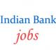 Specialist Officer Jobs in Indian Bank