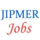 Nursing Officer and LDC Jobs in JIPMER