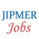 Teaching Jobs in AIIMS Mangalagiri by JIPMER