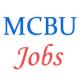 Various Jobs in Maharaja Chhatrasal Bundelkhand University (MCBU)