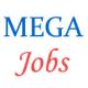 Middle Management Jobs in MEGA