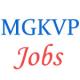 Teaching Jobs in MGKVP