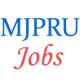 Teaching Jobs in MJP Rohilkhand University (MJPRU)