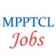 Line Attendant Jobs in MPPTCL