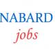 Development Assistant Jobs in NABARD