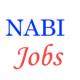 Administrative and Technical jobs in NABI