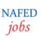 Manager (Marketing / HRD) Jobs in NAFED