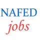 Assistant Manager (Accounts and IT) Jobs in NAFED