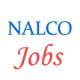 Various Jobs in National Aluminum Company Limited (NALCO)