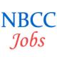 Engineers/Managers Executives Jobs in NBCC