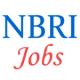 Scientist Jobs in NBRI