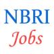 National Botanical Research Institute (NBRI) Jobs