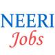 Technical Jobs in NEERI