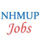 800+ contractual Jobs in NHMUP