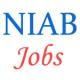 Scientist and Officers Jobs in NIAB