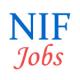 National Innovation Foundation (NIF) Jobs