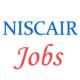 Scientists Jobs in NISCAIR