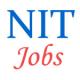 Associate Professor Jobs in NIT