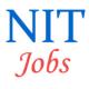 Assistant Professor Jobs in NIT