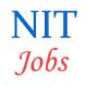 Teaching Jobs in NIT