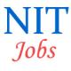 Teaching Jobs in NIT