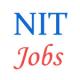 Various professor Jobs in National Institute of Technology