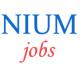 Teaching and Non-Teaching Jobs in NIUM