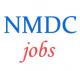 Engineer Executive Jobs in NMDC