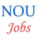 Teaching Jobs in North Orissa University