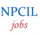 Stipendiary Trainees/Scientific Assistant-B Jobs in NPCIL