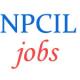 Stipendiary Trainees Jobs in NPCIL