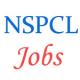 NSPCL Jobs of Diploma Engineer Trainees