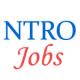 Scientist-B Jobs in NTRO