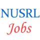 Teaching Jobs in NUSRL