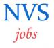 Teachers Principals Jobs in Navodaya Vidyalaya Samiti 