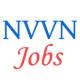 Executives Jobs in NTPC Vidyut Vyapar Nigam