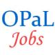 Petrochemicals Executive and Non-Executive Jobs in OPaL