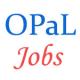 SAP Domain Experts Jobs in OPaL