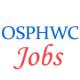 Accountants Jobs in OSPHWC