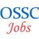 Block Social Security Officer Jobs by Odisha SSC