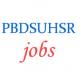 Teacher Assistant Professor Jobs in BDS UHSR