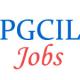 Power Grid Southern Region-II Jobs