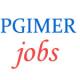 Assistant Professor Jobs in PGIMER