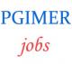 Group-B and Group-C Jobs in PGIMER