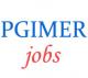 Technician Operation Theatre Jobs in PGIMER