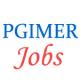 Special Jobs Drive for PWD candidates in PGIMER