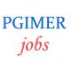 Group-A, B and C Jobs in PGIMER