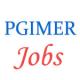 Various Jobs in Post Graduate Institute of Medical Education & Research (PGIMER)