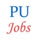 40 posts of Assistant Professors in Punjab University  (PU)